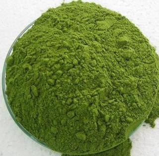 moringa-powder-fitness-nutrition-ebzasia