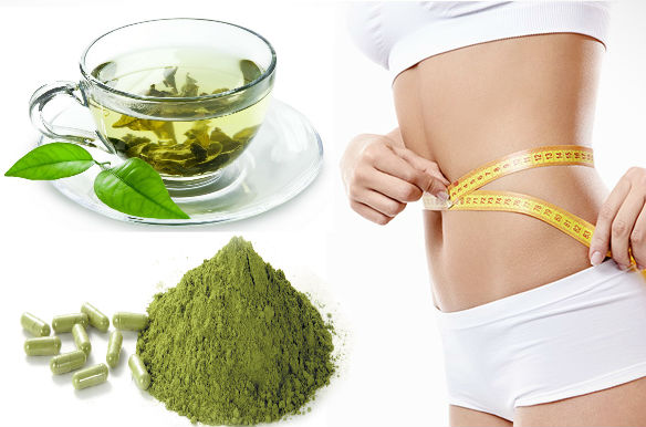 organic-asap-moringa-weight-lose-ebzasia