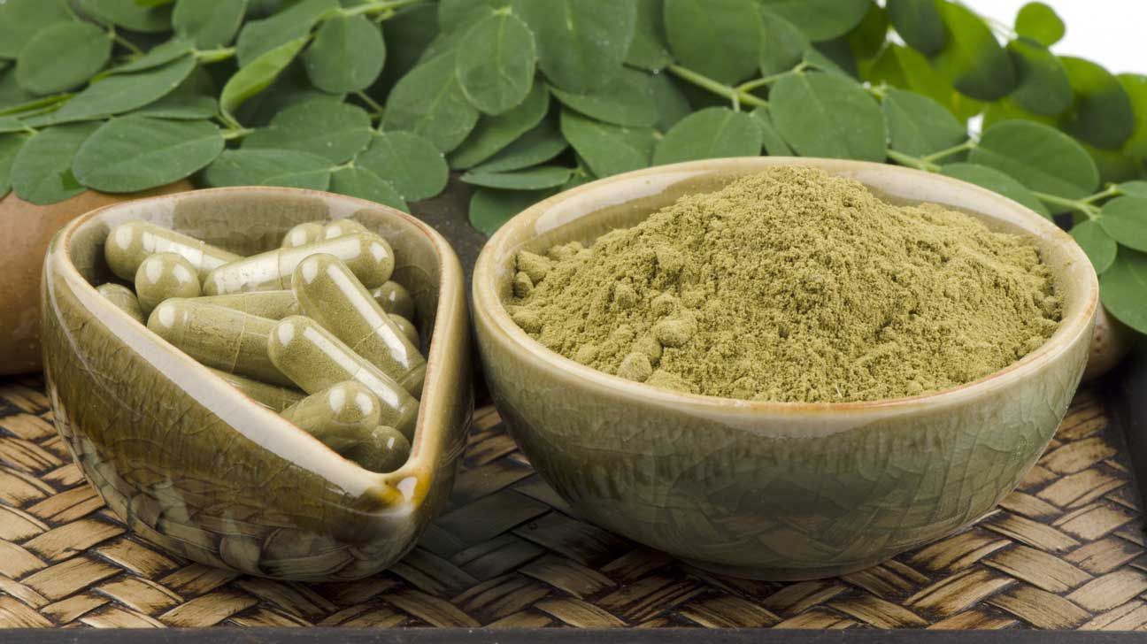辣木 有机健康 抗氧化 辣木树 辣木药用 辣木叶 ebzasia.com