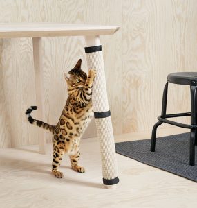 宠物用品 宜家 猫咪 狗 宠物袋 猫屋 猫床 ebzasia.com