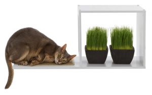 宠物用品 猫树 猫爬架 宠物 猫 玩耍 攀爬 ebzasia.com