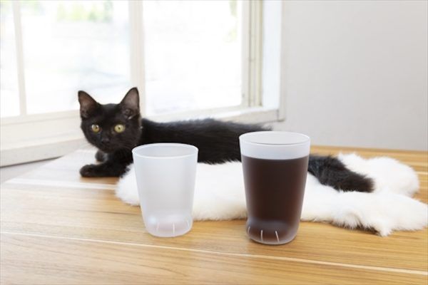 cat-cat-cup-ebzasia