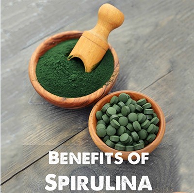 gourmet-spiruline-ebzasia